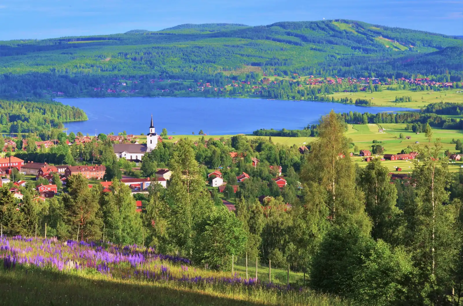 Günlük Hayat & Kültür Şokları